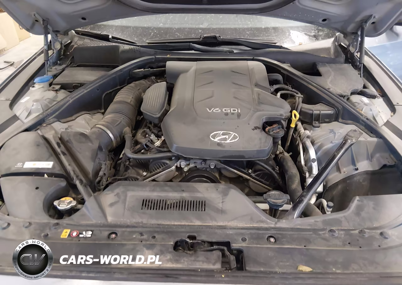 2016 Hyundai Genesis 3.8 VIN:KMHGN4JE0GU136094 - 10