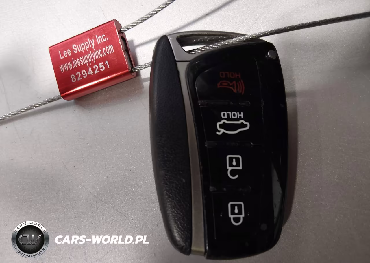 2016 Hyundai Genesis 3.8 VIN:KMHGN4JE0GU136094 - 11