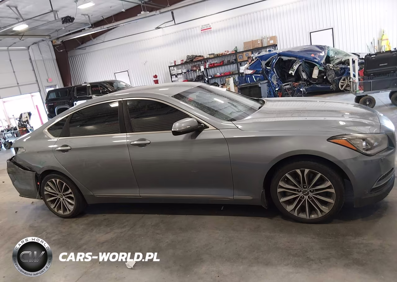 2016 Hyundai Genesis 3.8 VIN:KMHGN4JE0GU136094 - 13