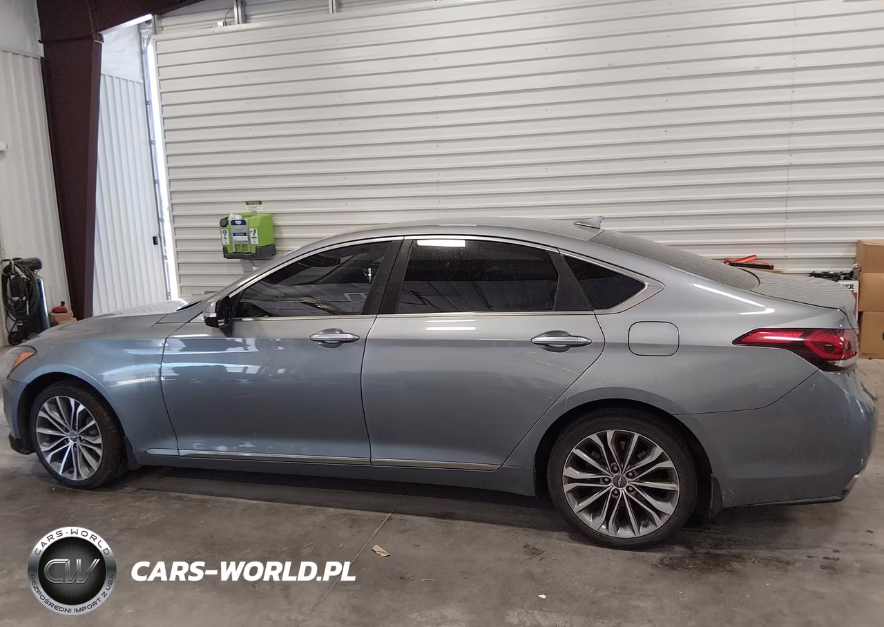 2016 Hyundai Genesis 3.8 VIN:KMHGN4JE0GU136094 - 14