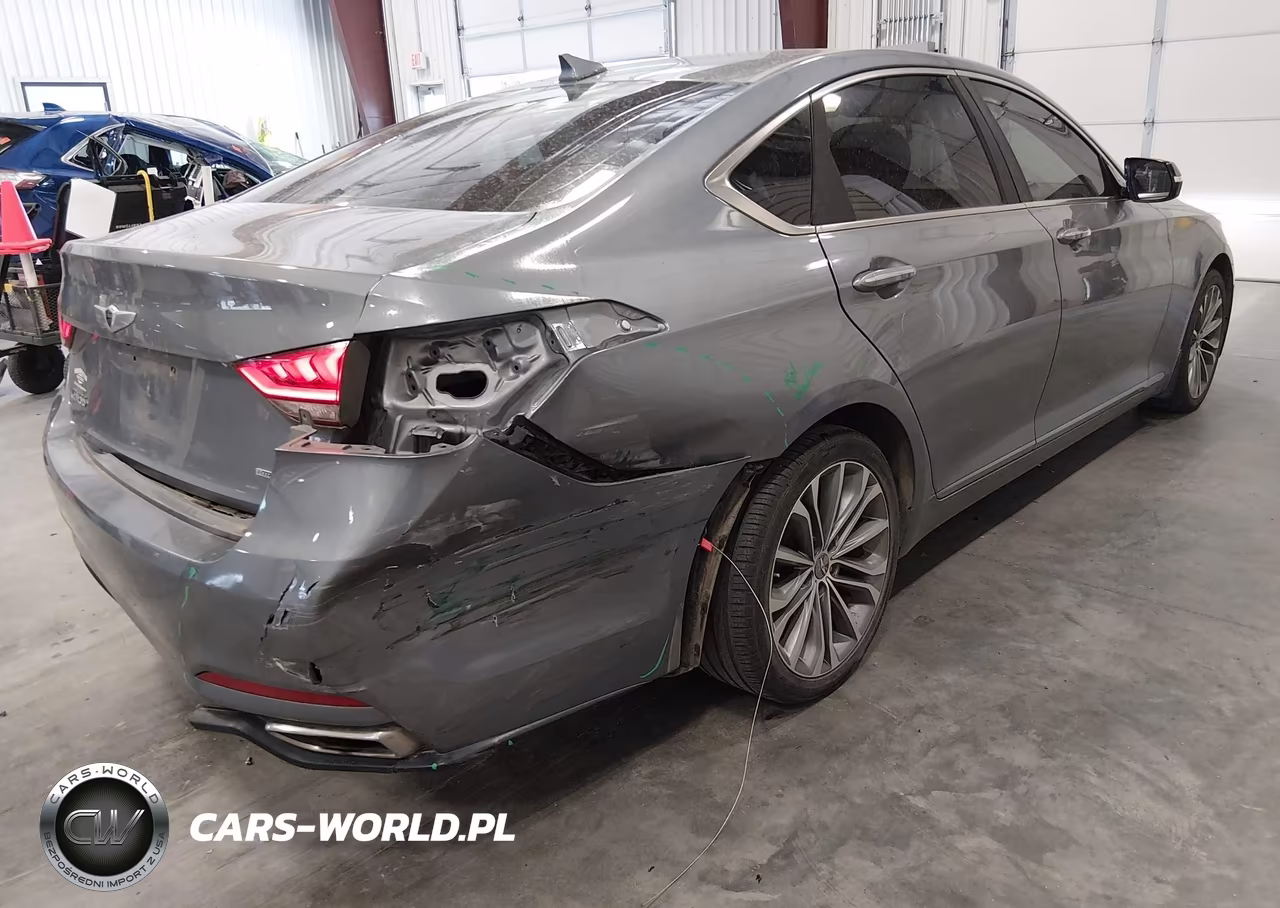 2016 Hyundai Genesis 3.8 VIN:KMHGN4JE0GU136094 - 6