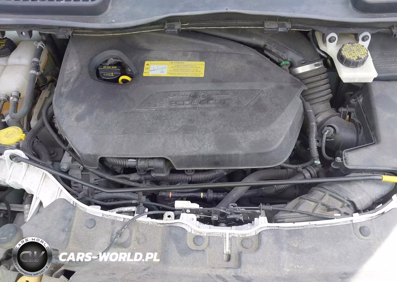 2014 Ford Escape Se VIN:1FMCU0GX8EUA42965 - 10