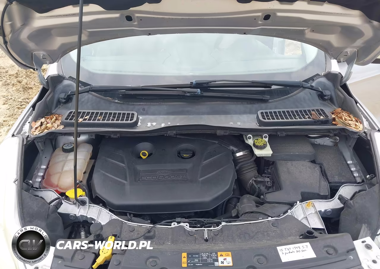 2013 Ford Escape Sel VIN:1FMCU0H9XDUC31731 - 10