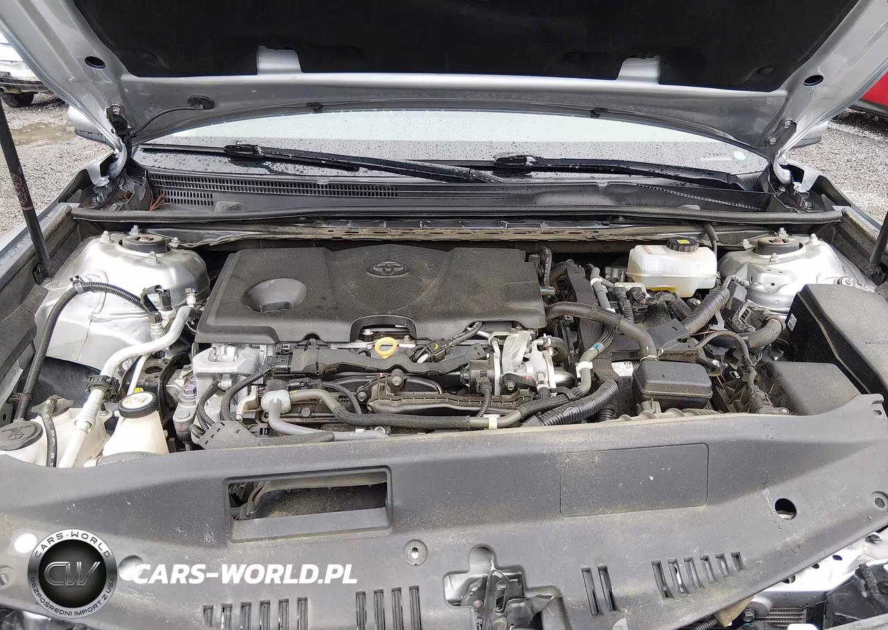 2020 Toyota Camry Se Hybrid VIN:4T1G31AK0LU519375 - 10