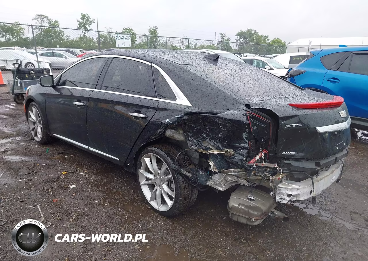 2017 Cadillac Xts Premium Luxury VIN:2G61R5S31H9177501 - 3