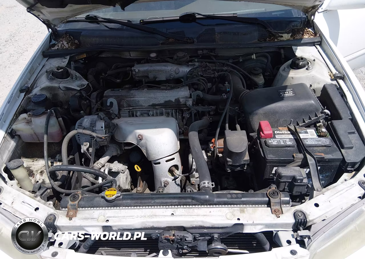 1999 Toyota Camry Le VIN:4T1BG22K0XU524066 - 10