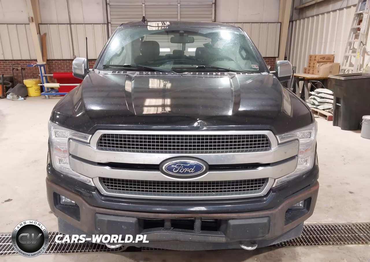 2020 Ford F-150 Platinum VIN:1FTEW1E4XLFA26516 - 12