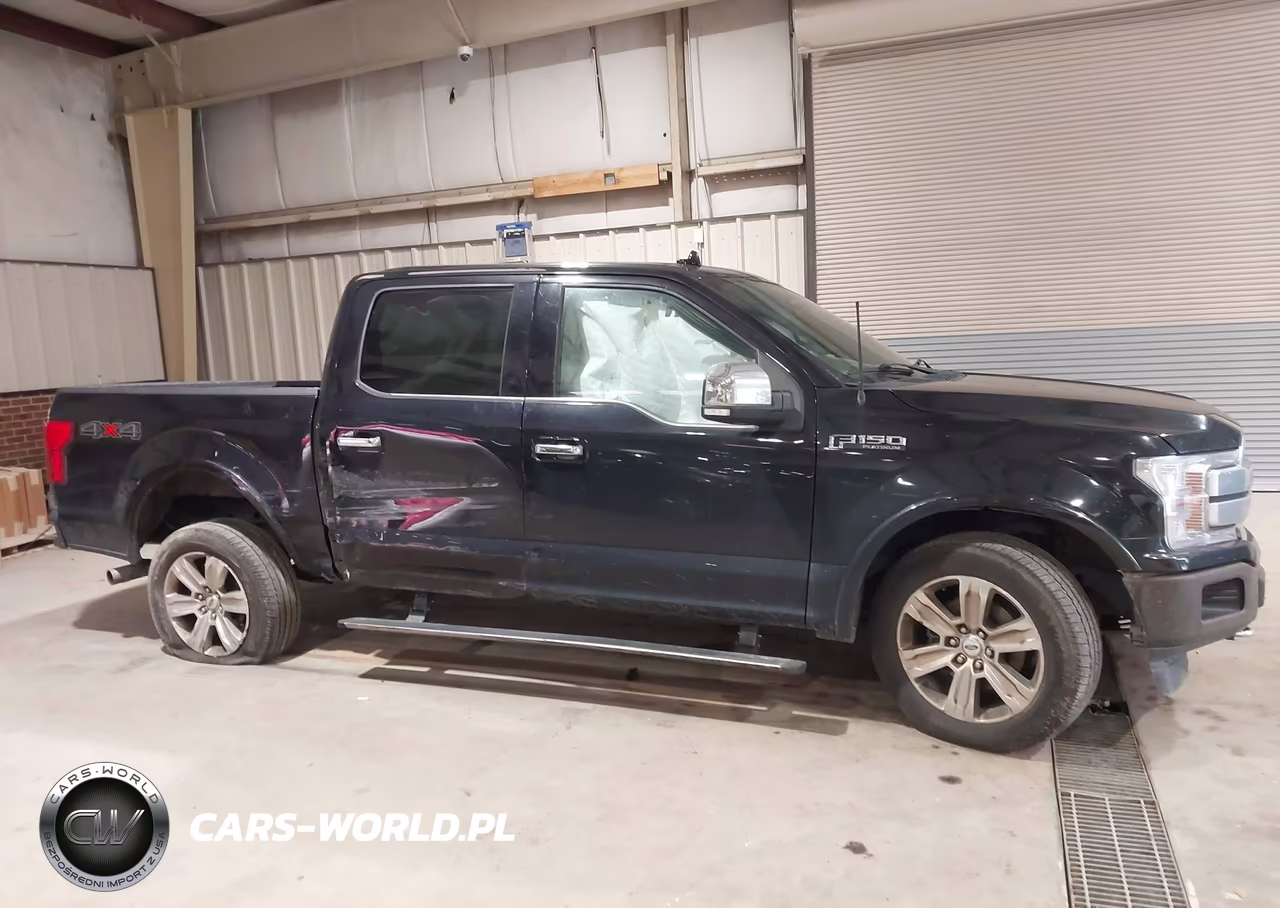 2020 Ford F-150 Platinum VIN:1FTEW1E4XLFA26516 - 13