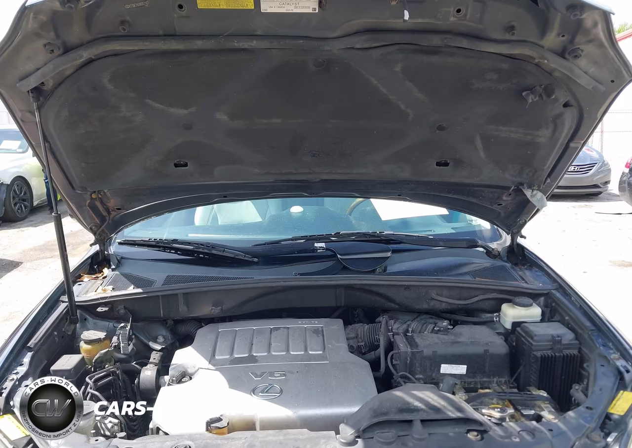 2009 Lexus Rx 350 VIN:2T2GK31U39C057142 - 10