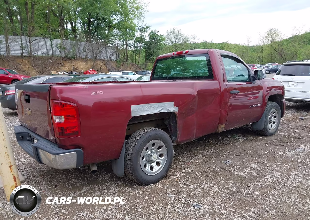 2009 Chevrolet Silverado 1500 Work Truck VIN:1GCEC14X79Z160914 - 4