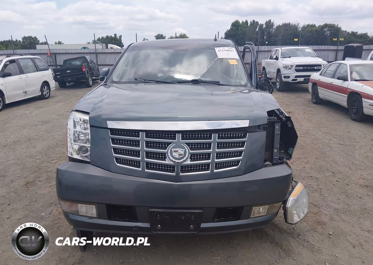 2010 Cadillac Escalade Standard VIN:1GYUKAEF8AR175957 - 11