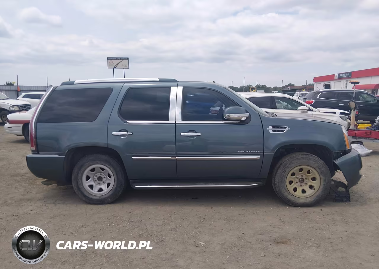 2010 Cadillac Escalade Standard VIN:1GYUKAEF8AR175957 - 12