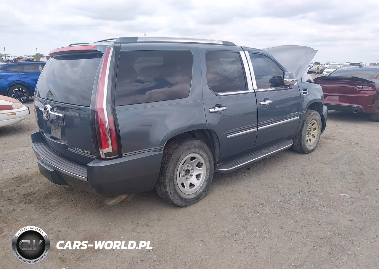 2010 Cadillac Escalade Standard VIN:1GYUKAEF8AR175957 - 4