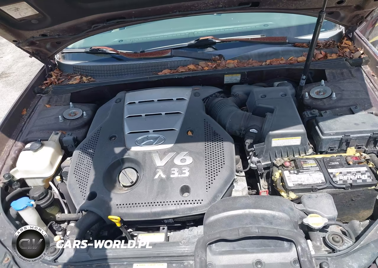 2006 Hyundai Sonata Gls V6-Lx V6 VIN:5NPEU46F76H005575 - 10