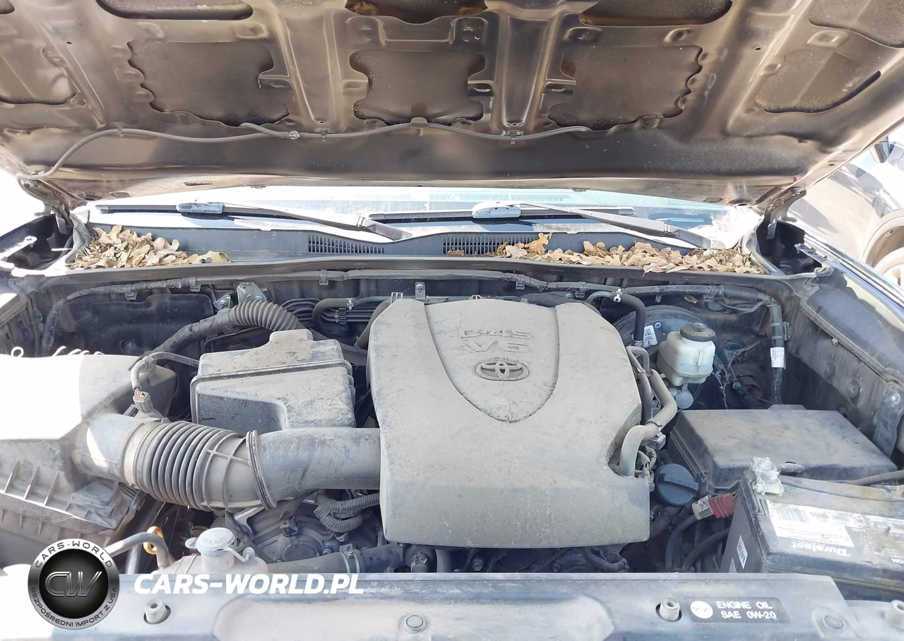 2019 Toyota Tacoma Sr5 VIN:3TMBZ5DN5KM019824 - 10