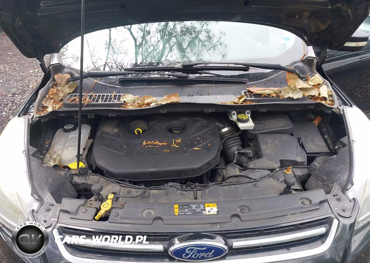2013 Ford Escape Titanium VIN:1FMCU0J97DUD15628 - 10