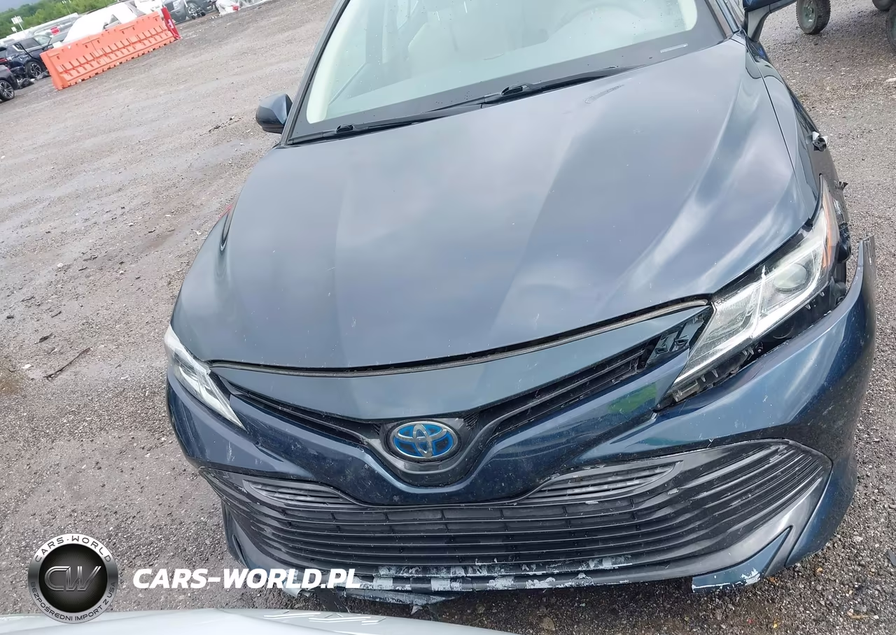 2019 Toyota Camry Hybrid Le VIN:4T1B31HKXKU008125 - 12
