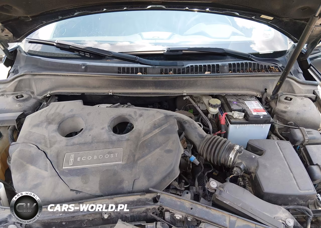 2014 Lincoln Mkz VIN:3LN6L2G99ER831954 - 10