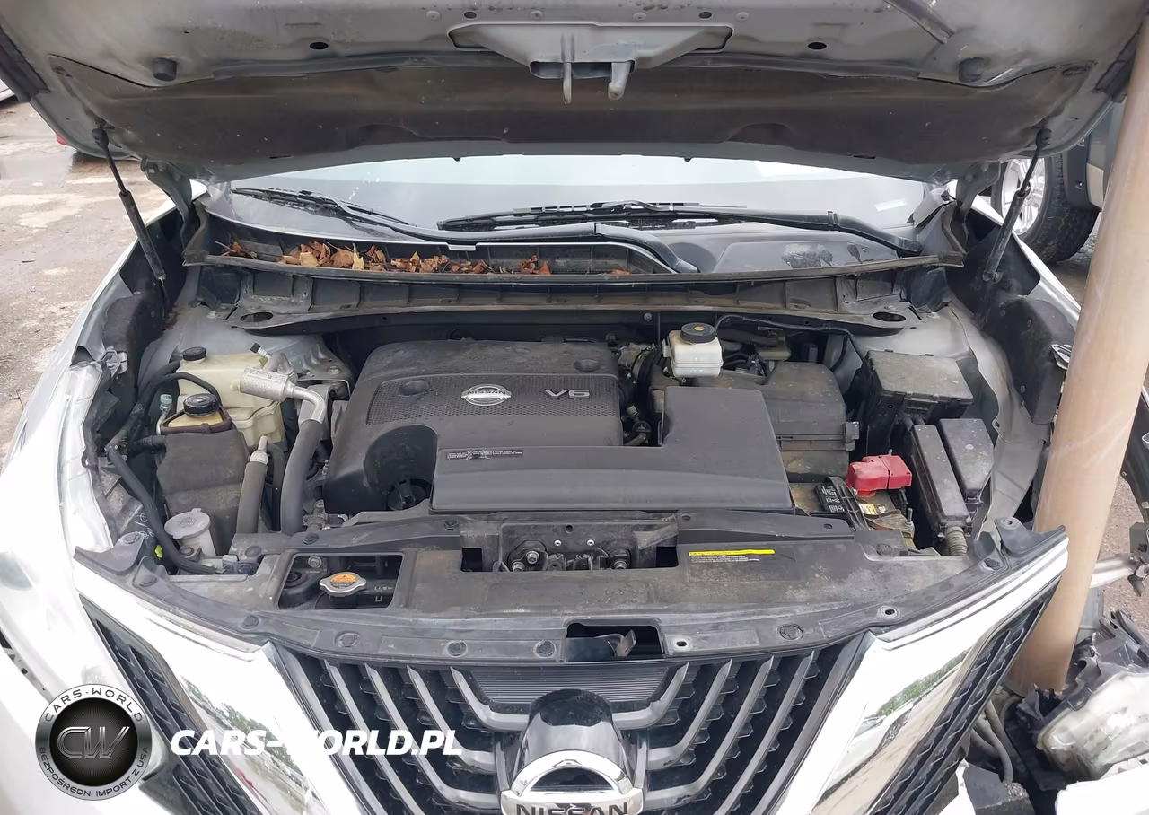 2016 Nissan Murano Platinum-S-Sl-Sv VIN:5N1AZ2MH3GN107428 - 10