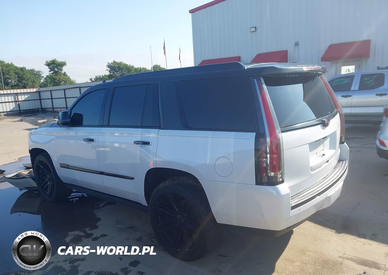 2019 Cadillac Escalade Platinum VIN:1GYS4DKJ0KR221987 - 15
