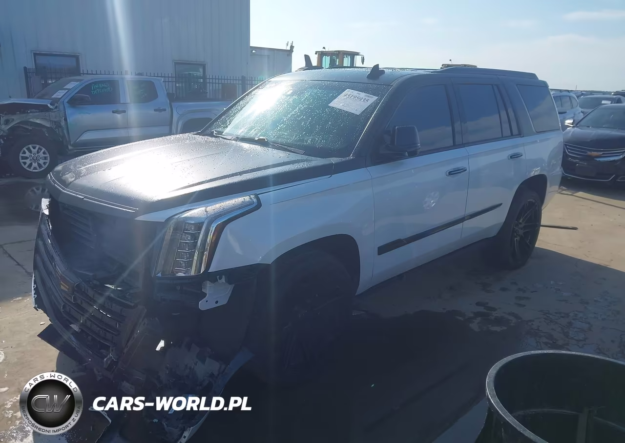 2019 Cadillac Escalade Platinum VIN:1GYS4DKJ0KR221987 - 2
