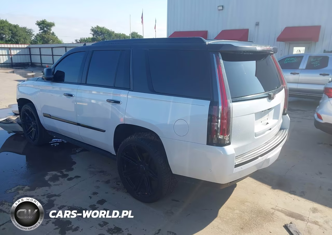 2019 Cadillac Escalade Platinum VIN:1GYS4DKJ0KR221987 - 3