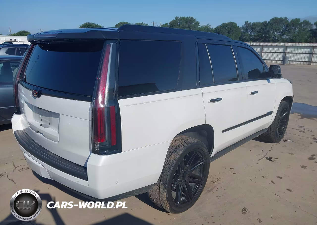 2019 Cadillac Escalade Platinum VIN:1GYS4DKJ0KR221987 - 4