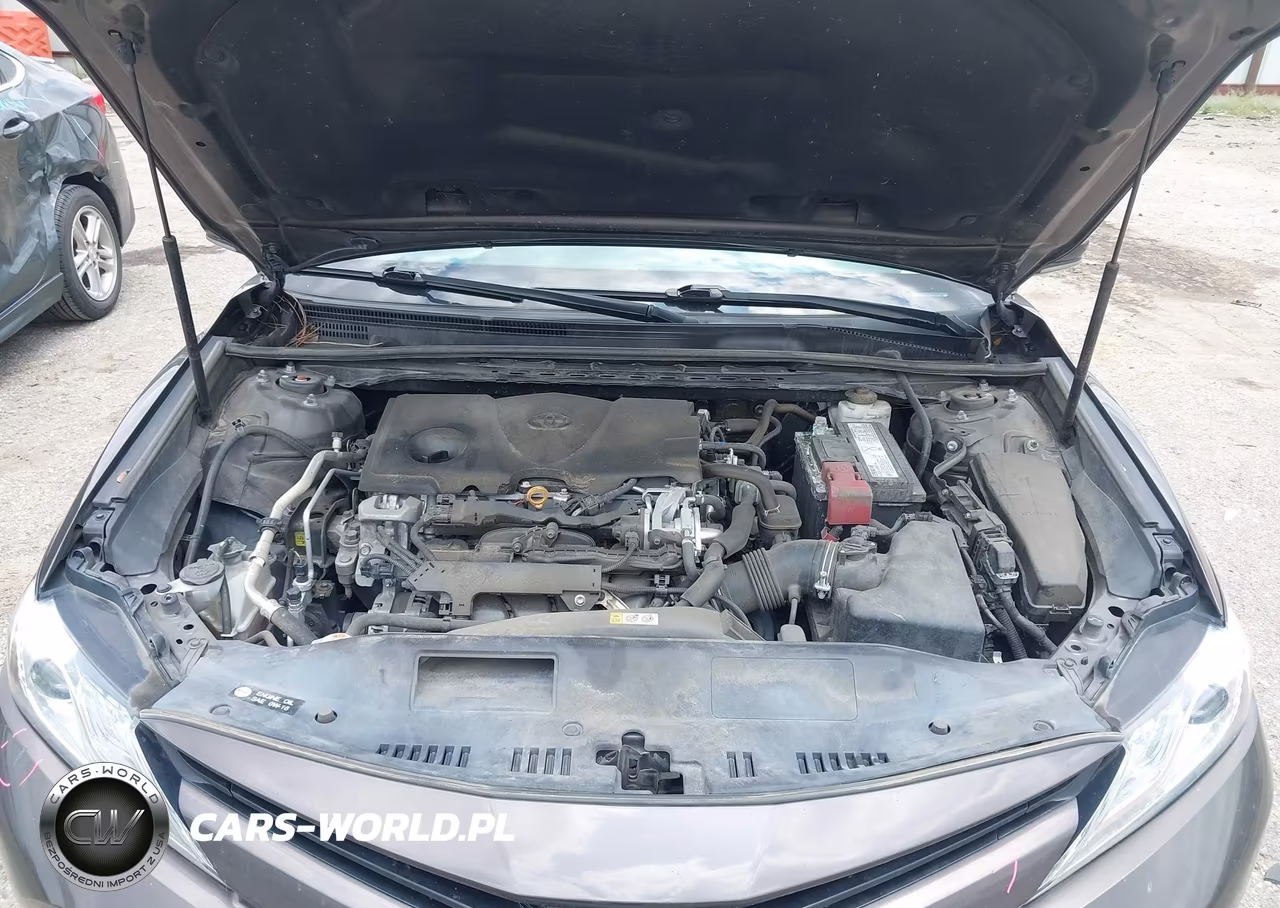 2019 Toyota Camry Xle VIN:4T1B11HK8KU789975 - 10