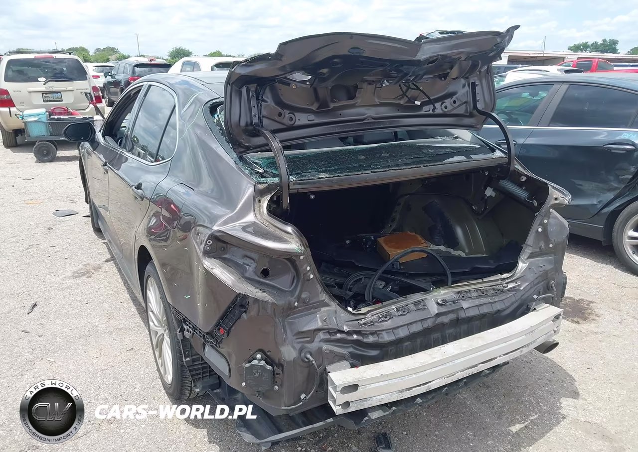 2019 Toyota Camry Xle VIN:4T1B11HK8KU789975 - 6