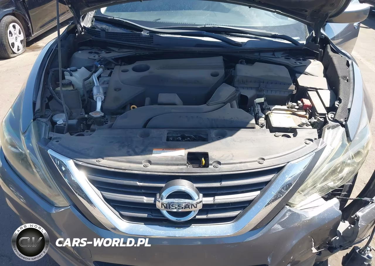 2016 Nissan Altima 2.5 Sr VIN:1N4AL3AP1GC256350 - 10