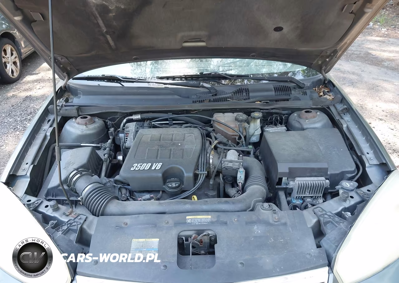 2006 Chevrolet Malibu Lt VIN:1G1ZT53856F183861 - 10