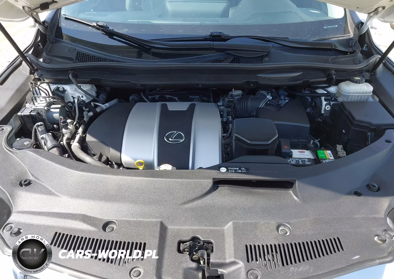 2019 Lexus Rx 350L Base VIN:JTJGZKCA6K2013800 - 10