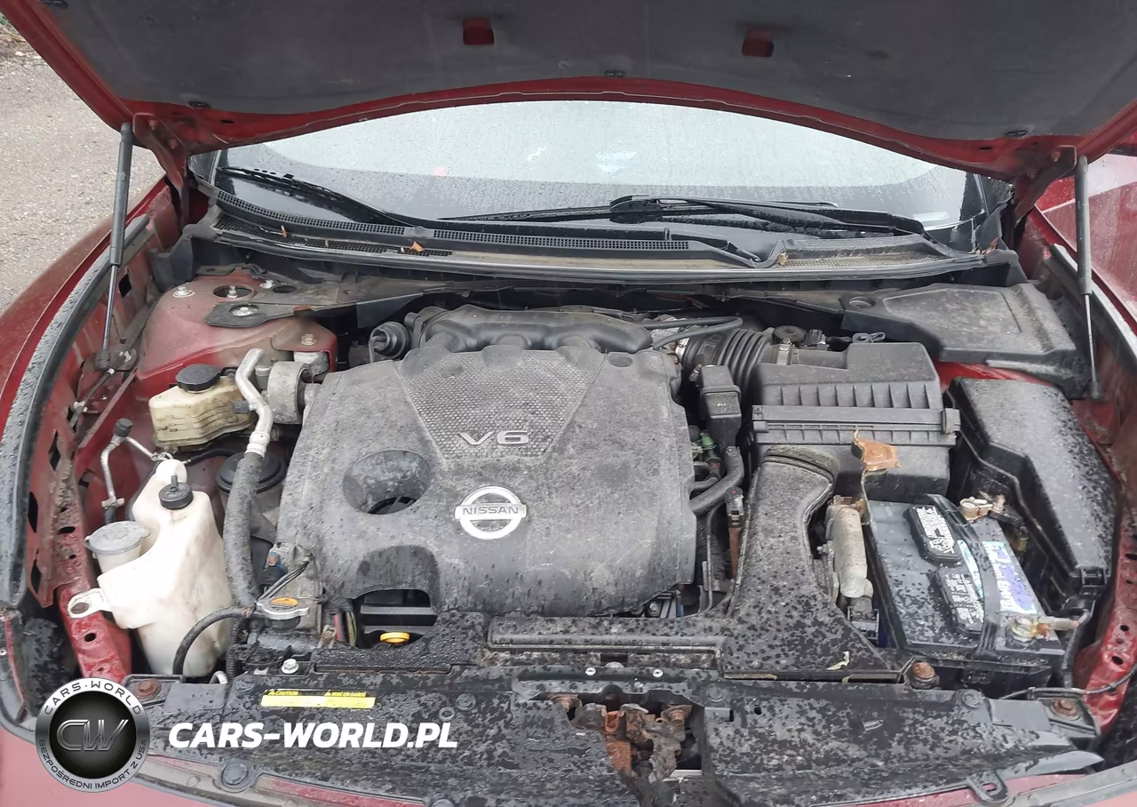 2010 Nissan Maxima 3.5 S VIN:1N4AA5AP2AC817096 - 10