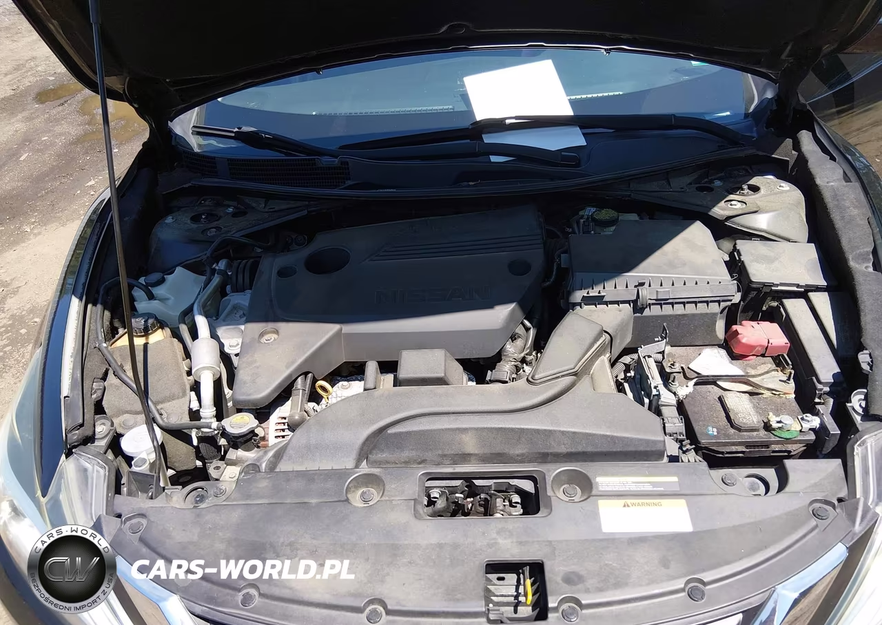 2016 Nissan Altima 2.5-2.5 S-2.5 Sl-2.5 Sr-2.5 Sv VIN:1N4AL3AP7GC169116 - 10