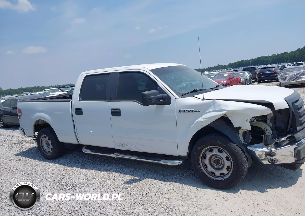 2010 Ford F150 Supercrew VIN:1FTEW1CW3AFB93723 - 13