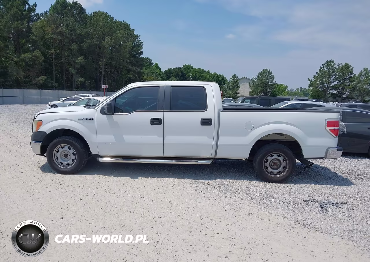 2010 Ford F150 Supercrew VIN:1FTEW1CW3AFB93723 - 14