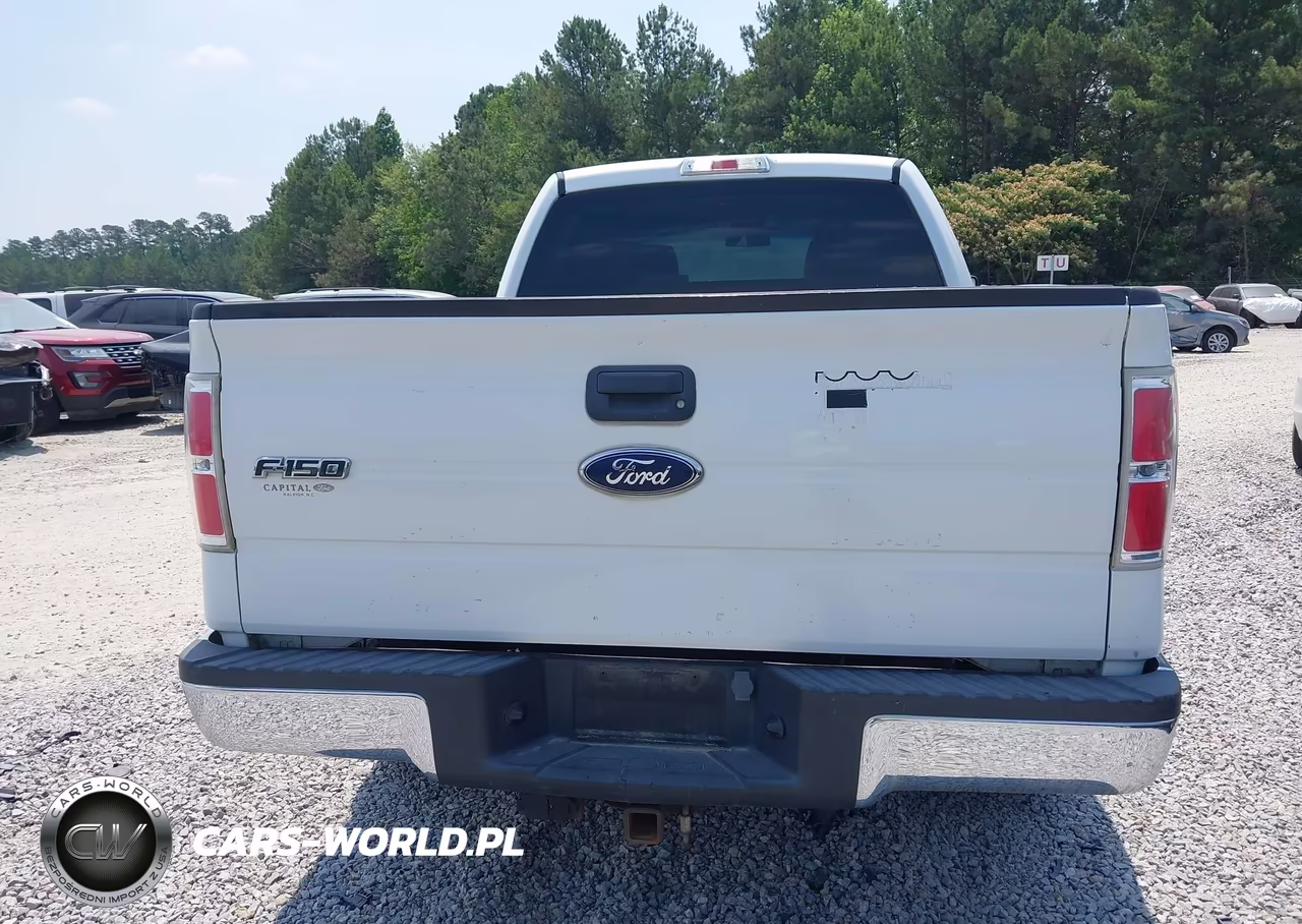 2010 Ford F150 Supercrew VIN:1FTEW1CW3AFB93723 - 16