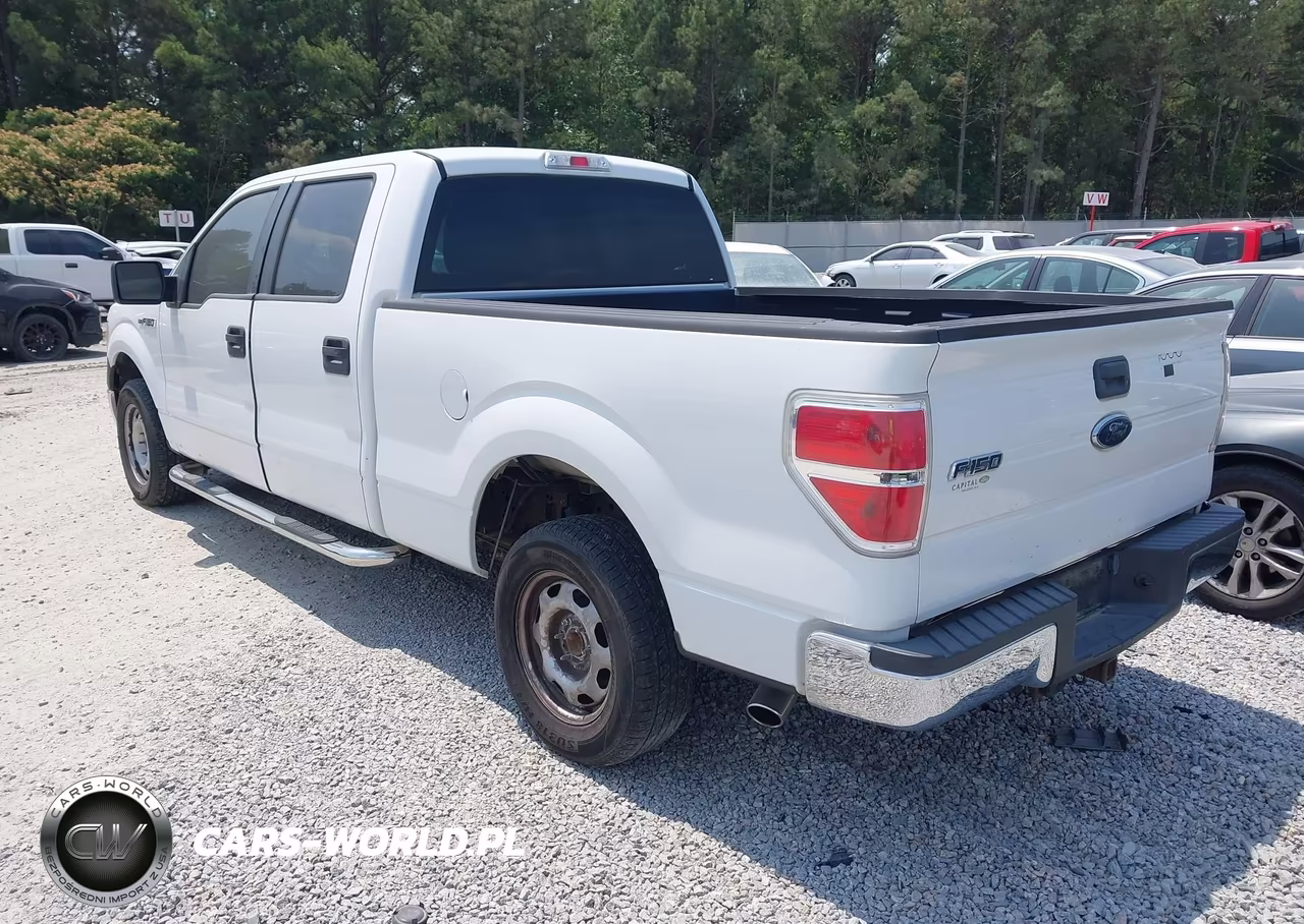 2010 Ford F150 Supercrew VIN:1FTEW1CW3AFB93723 - 3