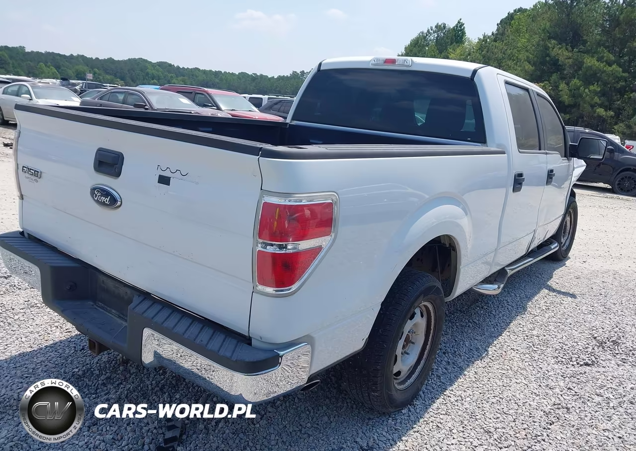 2010 Ford F150 Supercrew VIN:1FTEW1CW3AFB93723 - 4