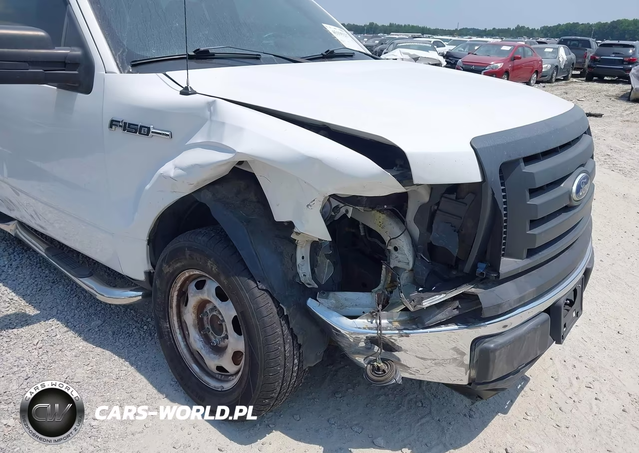 2010 Ford F150 Supercrew VIN:1FTEW1CW3AFB93723 - 6