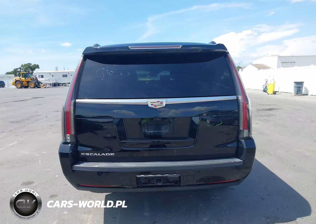 2019 Cadillac Escalade Esv Premium Luxury VIN:1GYS4JKJ3KR197697 - 16