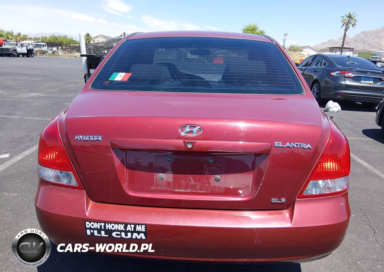2003 Hyundai Elantra Gls-Gt VIN:KMHDN45D43U516280 - 16