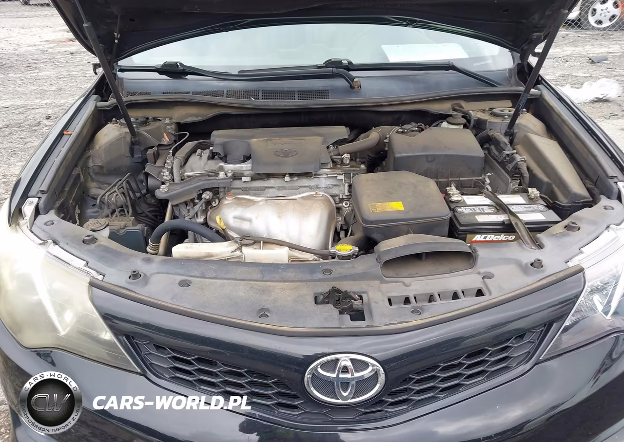 2014 Toyota Camry Se VIN:4T1BF1FKXEU383267 - 10