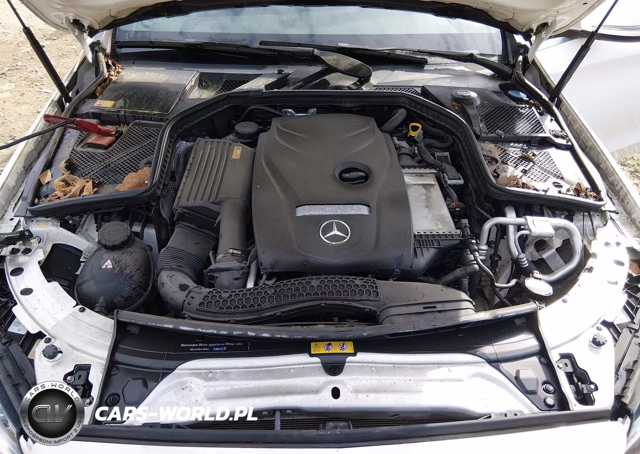 2015 Mercedes-Benz C 300 Sport 4Matic VIN:55SWF4KB6FU094585 - 10