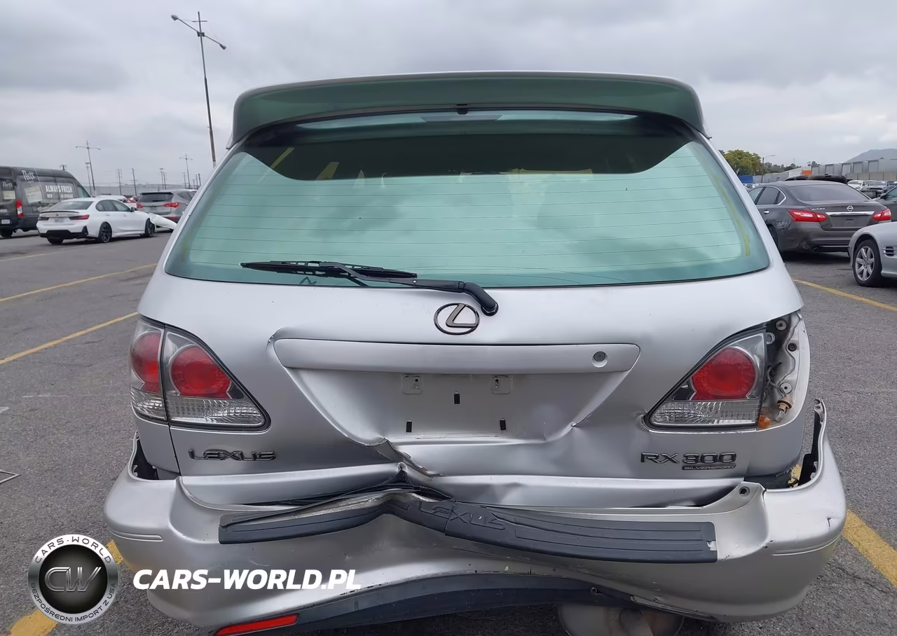 2001 Lexus Rx 300 VIN:JTJGF10U310107614 - 13