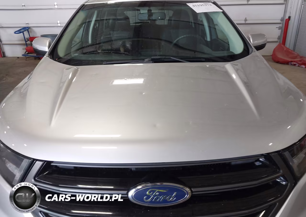 2016 Ford Edge Sport VIN:2FMPK4AP2GBB45007 - 6