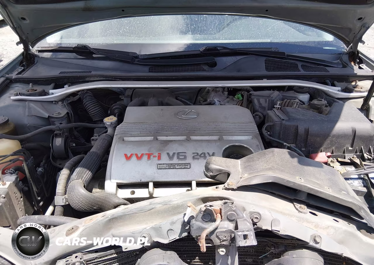 2003 Lexus Es 300 VIN:JTHBF30G330113966 - 10