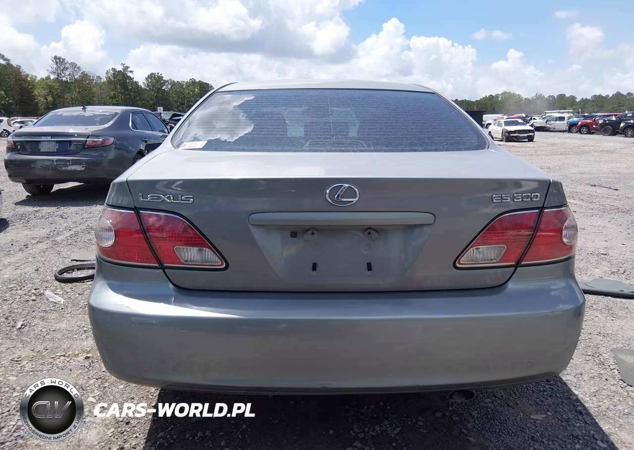 2003 Lexus Es 300 VIN:JTHBF30G330113966 - 17