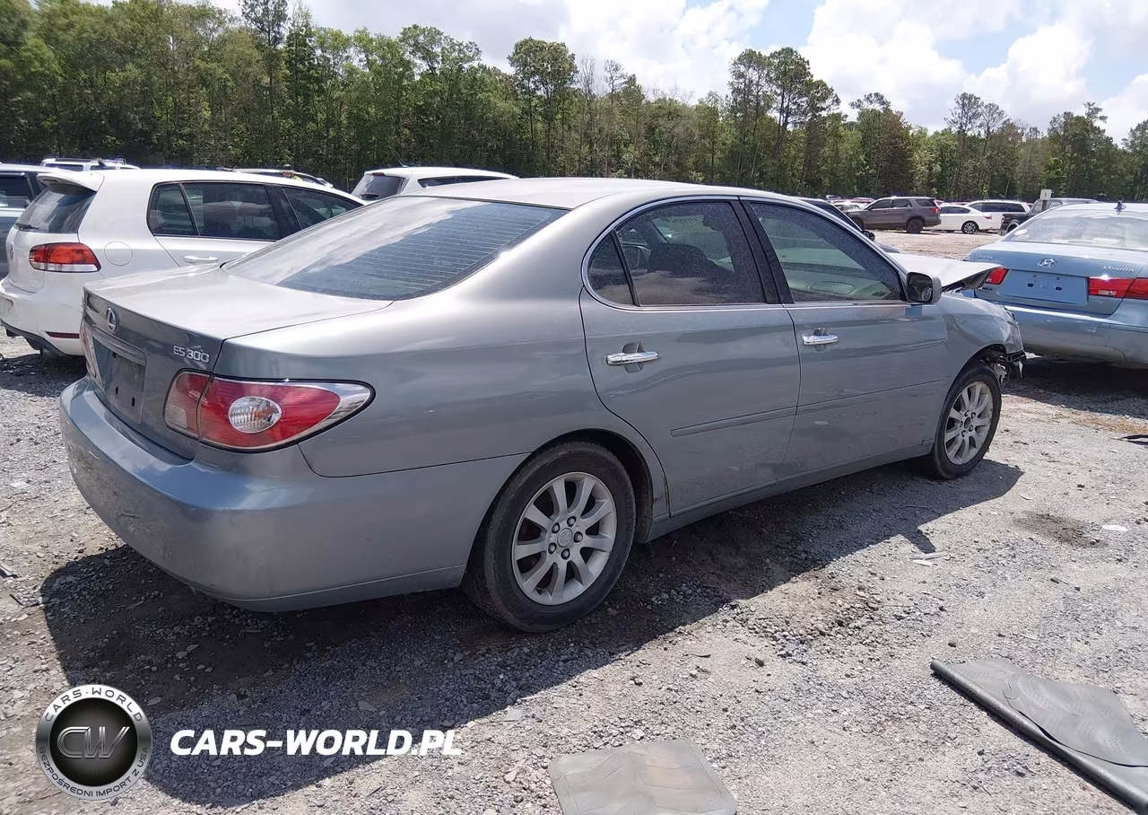 2003 Lexus Es 300 VIN:JTHBF30G330113966 - 4