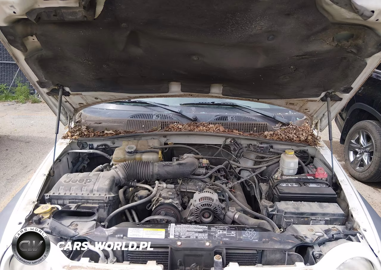2005 Jeep Liberty Sport VIN:1J4GL48K65W702485 - 10